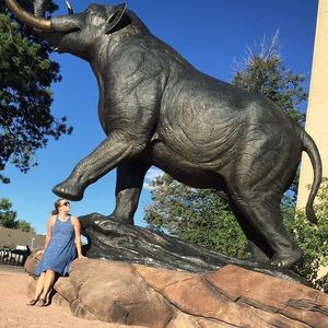 Meet your Posher, Casey